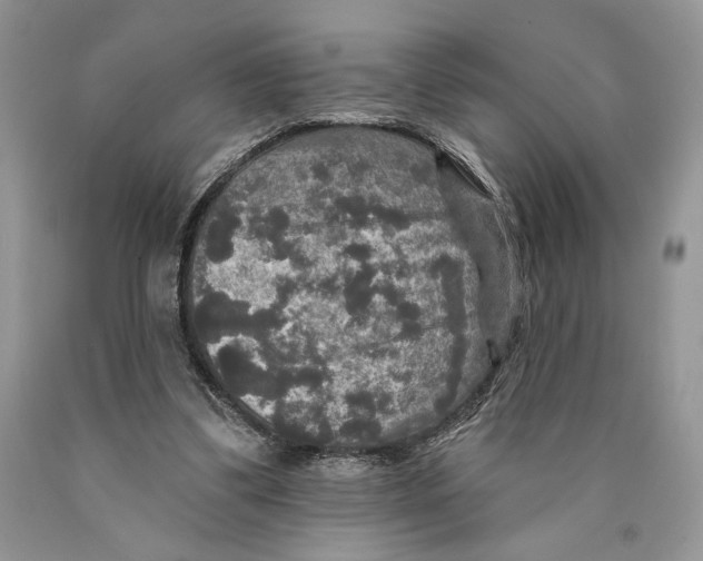 X0000089960299200707271907