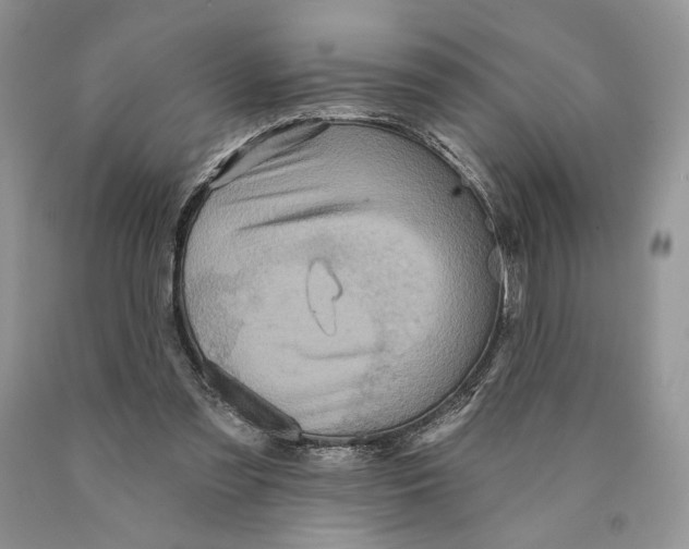 X0000089960301200707271907