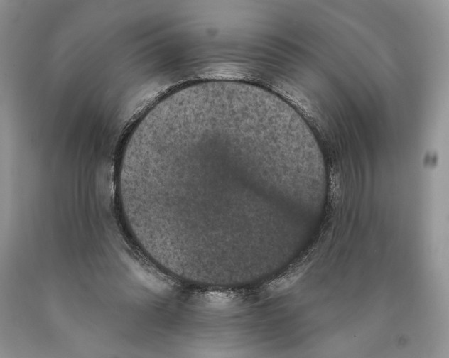 X0000089960302200707271907