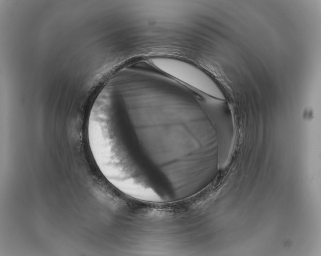 X0000089960303200707271907