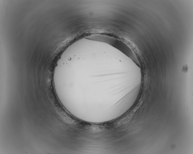 X0000089960305200707271907