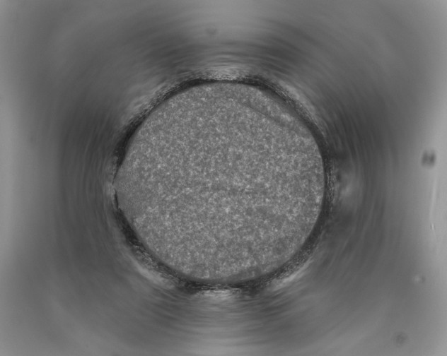 X0000089960307200707271907