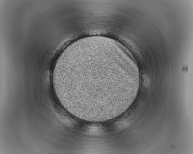 X0000089960308200707271907