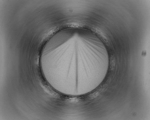 X0000089960310200707271907