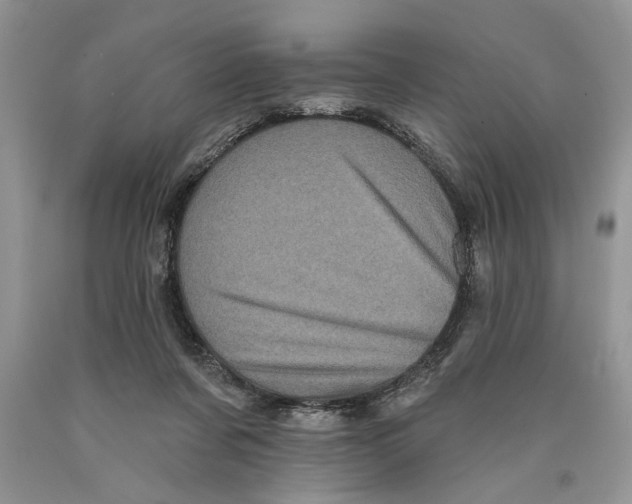 X0000089960311200707271907