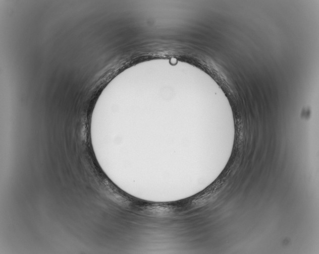 X0000089960313200707271906