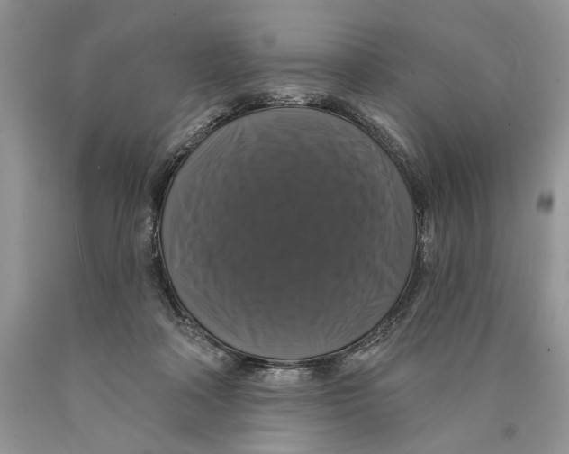 X0000089960314200707271906