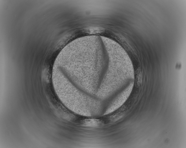 X0000089960316200707271906