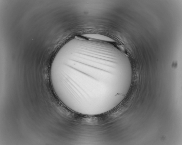 X0000089960317200707271906