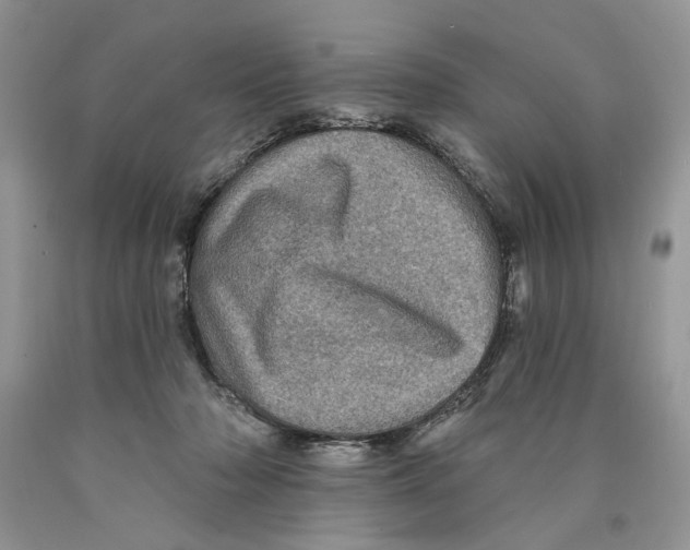 X0000089960318200707271906