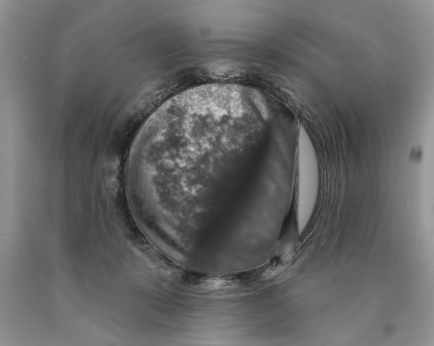 X0000089960319200707271906