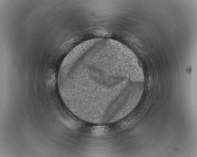 X0000089960320200707271906