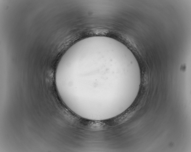 X0000089960321200707271906