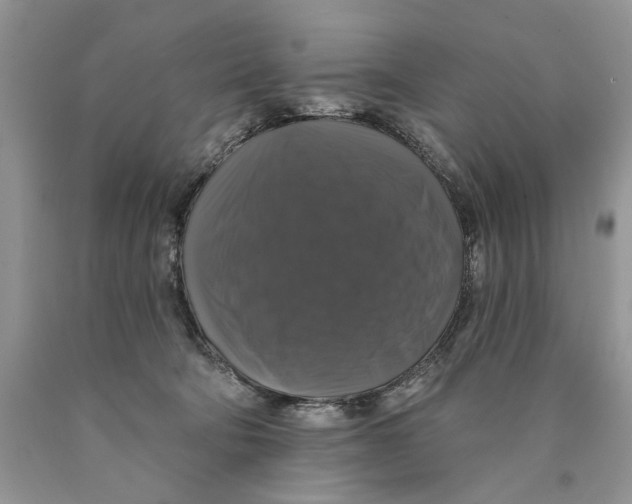 X0000089960322200707271906