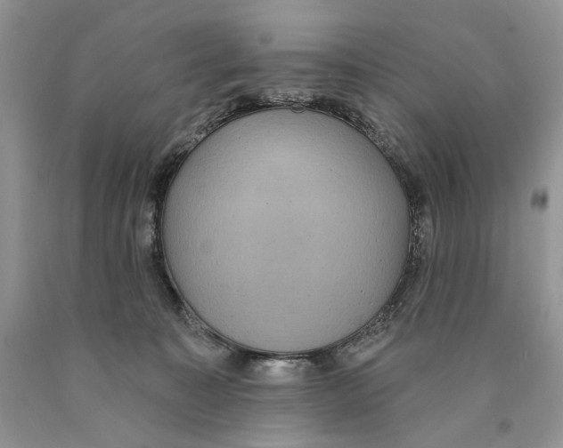 X0000089960323200707271906