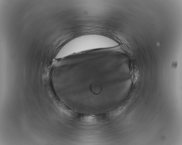 X0000089960325200707271906