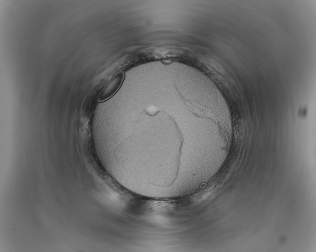 X0000089960327200707271906