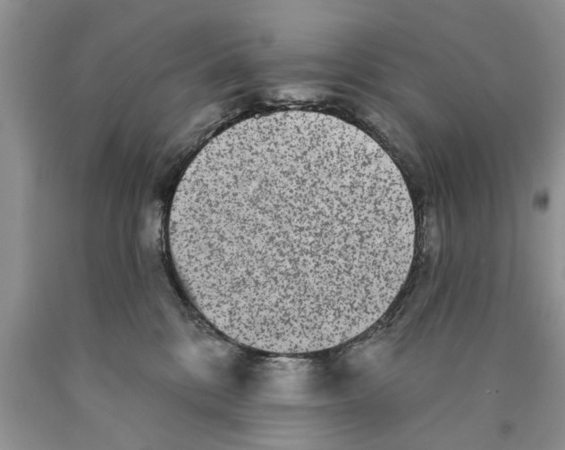 X0000089960328200707271906