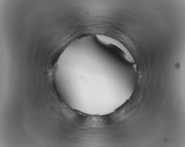 X0000089960329200707271906