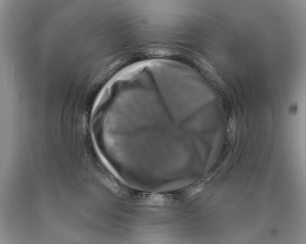 X0000089960330200707271906