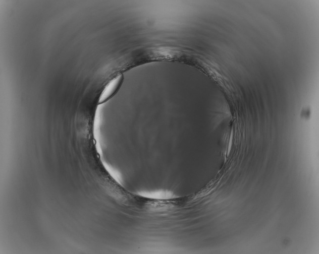 X0000089960331200707271906