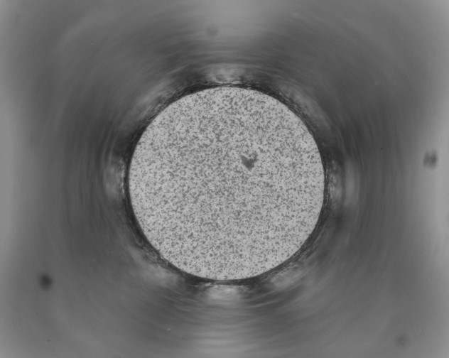 X0000089960332200707271906