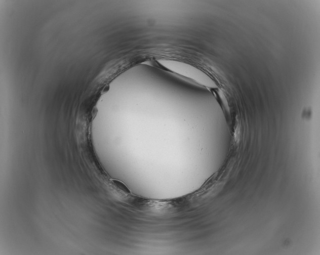 X0000089960333200707271906