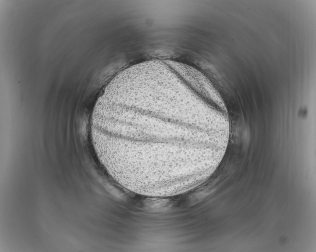 X0000089960334200707271906