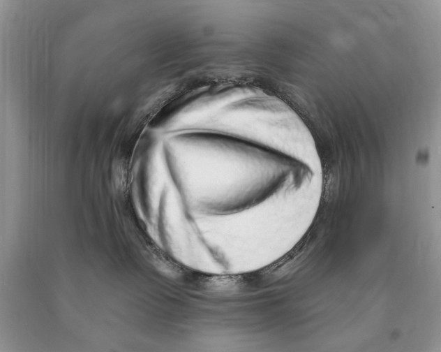 X0000089960335200707271906