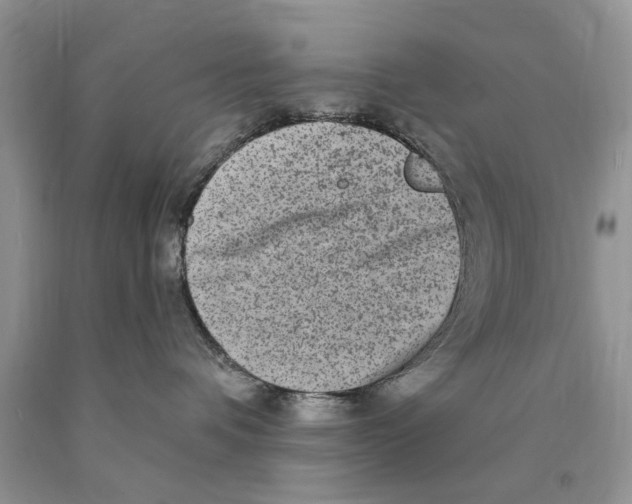 X0000089960336200707271906