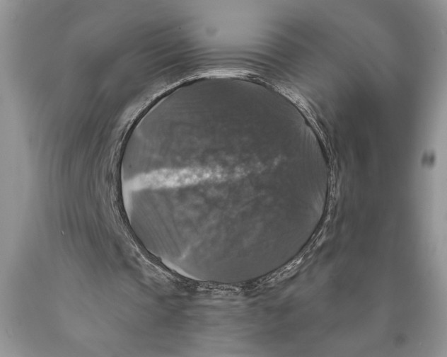 X0000089960337200707271906