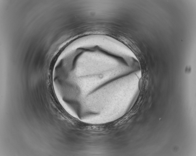 X0000089960338200707271906