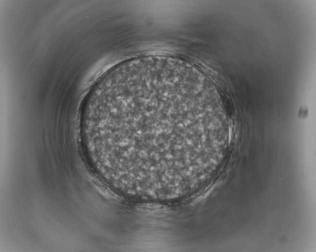 X0000089960339200707271906