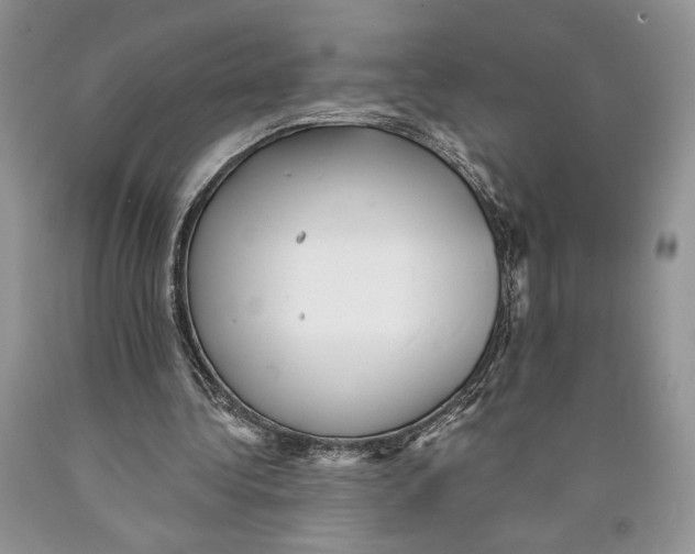 X0000089960340200707271906