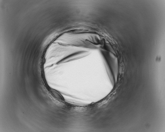 X0000089960341200707271906