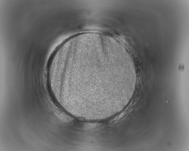 X0000089960342200707271906