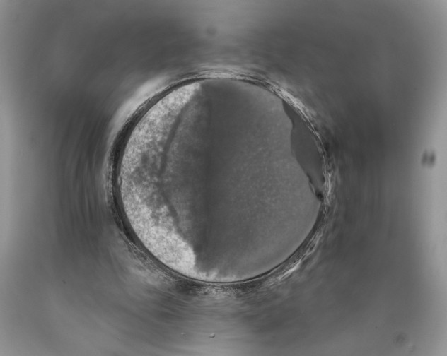 X0000089960343200707271906