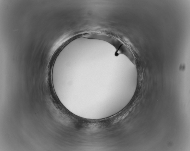 X0000089960344200707271906