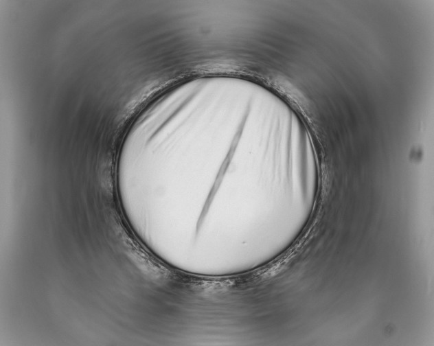 X0000089960345200707271906