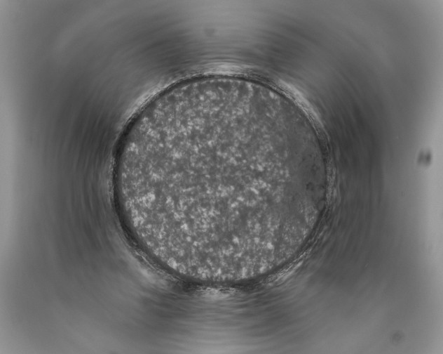 X0000089960346200707271906