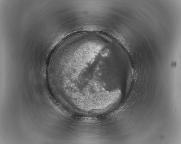 X0000089960347200707271906