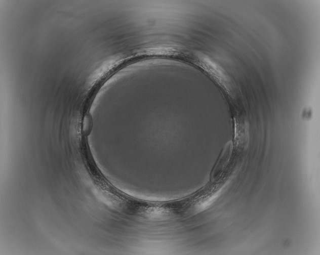 X0000089960348200707271906