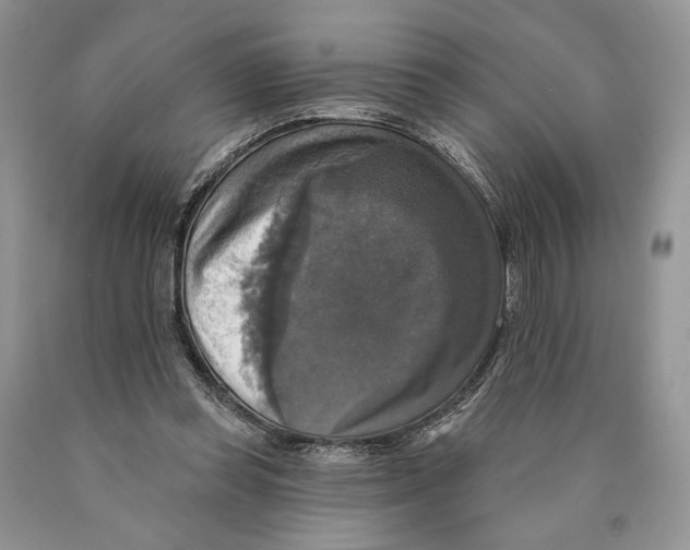 X0000089960349200707271906