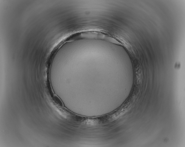 X0000089960350200707271906