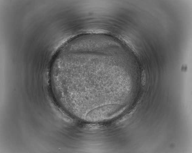 X0000089960351200707271906