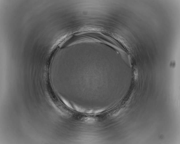 X0000089960352200707271906