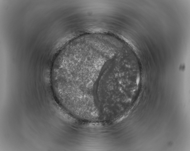 X0000089960353200707271906