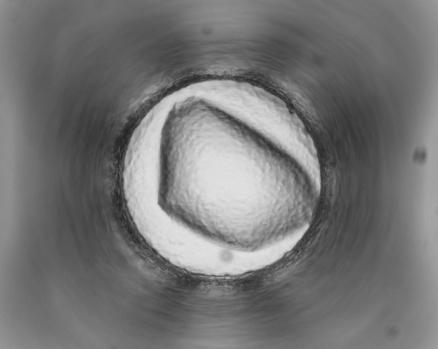 X0000089960354200707271906