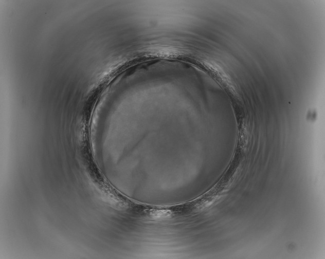 X0000089960355200707271906