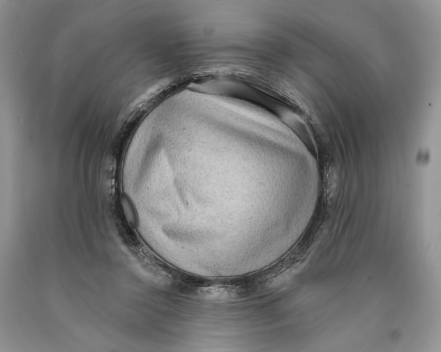 X0000089960356200707271906